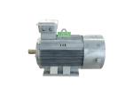 10KW Wind Turbine Generator Alternator Low Speed 5KW 15KW 20KW 25KW 30KW