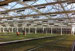 277V IP65 Full Spectrum 630w Horticulture LED Grow Lights