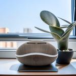 Car Air Purifying Aroma Diffuser USB Battery Mini Small Waterless Essential Oil