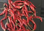 Red Yidu Chili Tianying Jinta Chili American Red Chilli New Crop FDA HACCP ISO
