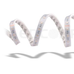 China 60 House RGBW 4 in 1 RGB LED Strips Lighting 19.2W , 12V Or 24V LED Strip Tape factory