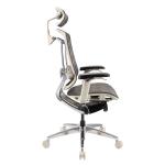 Grey Frame Ergonomic Office Chair Revolving Seating Back Frame