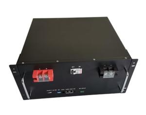 China 51.2v 100Ah 4u Module Lifepo4 Storage Battery RS485 For ESS factory