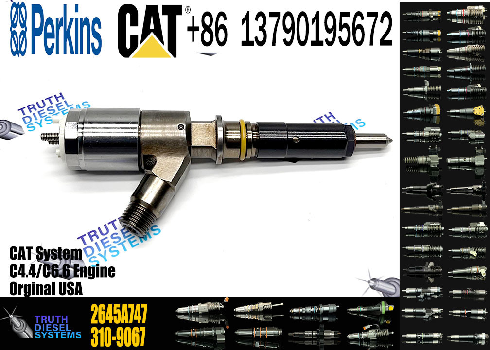 Engine Fuel Injector 2645A747 10R-7671 10R-7672 2645A718 10R-7673 10R-7676 2645A734 10R-7674 10R-7668