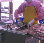 Multipurpose Catfish Skinner Machine Anti Erosion 700x600x930mm