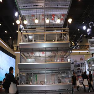 China H Type 4 Tiers Automatic Baby Chick Cage Poultry Farm Equipment factory