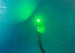 Low Voltage 1W 12V Green Marine Boat Courtesy Lights 150 Degree Beam