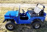 Air Cooled Single Cylinder 125CC CDI Mini Gas Golf Cart