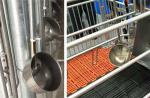 Stainless Steel Hog Waterer Pig Feeders and Drinkers Pig Water Drinkers