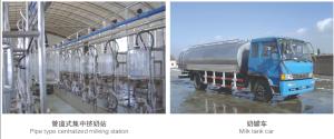 Small Milk Processing Machine , 220V/380V Dairy Processing Equipment