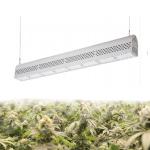 Anti Heavy Moisture Waterproof LED Grow Lights 150 MA 50/60Hz Lightweight