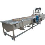 1500kg/H Food Beverage Shops Industrial Vegetable Washing Machine For Date Lemon