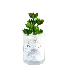 China Nordic Ins Green Artificial Succulent Plant Plastic Fleshy Small Potted Decorate factory