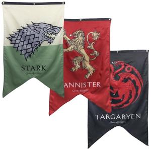 China 75D 100D 150D Polyester Custom Wall Banner CMYK Printed 14x21cm factory