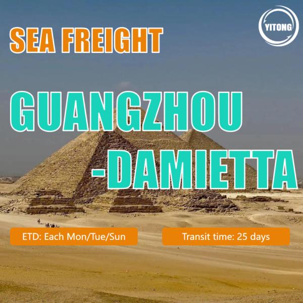 Ocean Freight For Container FCL/LCL Sea Shipping Transportation To Damietta