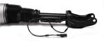 1663201313 Air Suspension Parts Air Suspension Strut