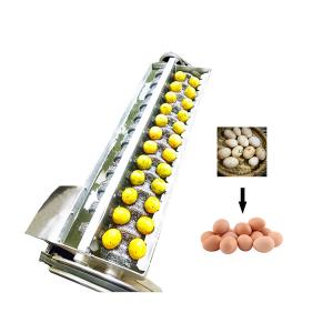 China 5*6 total 30 pcs single handed large suction eggs factory supplying pump egg vacuum lifter in egg grading system factory