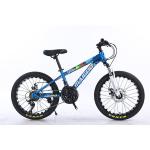20*2.125 WANDA Tyre Steel Frame 21speed Children's Bike With Mechanical Disc