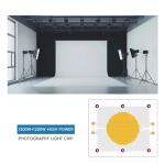 High Power 55mil Led 1200w Epistar Chips For Photography Light