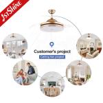 OEM Multi Color LED Ceiling Fan for in Dinning Room at Home Hotel Office