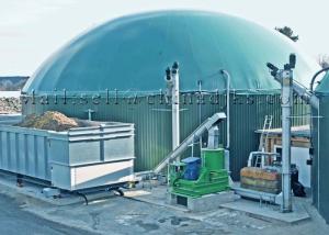 China 18TPH Organic Animal Waste Biomass Gasification Power Plant factory