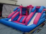 Outdoor Amusement Park Black Color Inflatable Water Slide With Pool For Kids