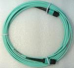 Plenum Jacket Female MTP MPO Fiber Elite Cable Assembly