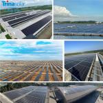 2024 Trina Bifacial NEG20C.20 620W 625W 630W 635W 640W 645W Monocrystalline