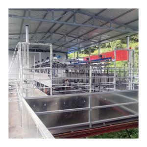China Sheep 100 Points Herringbone Milking Parlor automatic milking system factory