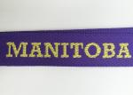 Promotional Silk Screen Lanyards with Neck strap , eco friendly lanyards for ID