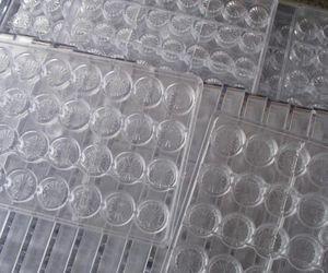 China Chocolate Polycarbonate moulds factory