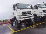 4x4 Cargo Truck Dongfeng Fence Lorry Truck Leaf Spring 10 Tons Loading Bad Road