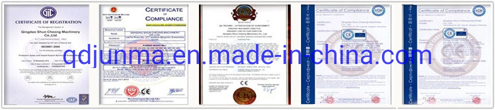Rubber Bridge Bearing Vulcanizing/Curing/Vulcanizer Press Machine