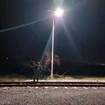 All In One 14000lm 30W 80W LED Solar Powered Street Light 18V pole install