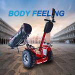 Fat Tire Electric Off Road Segway Self Transporter 45 Degree Max Gradient Limit