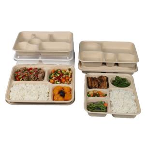 China Disposable Rectangular Biodegradable Sugarcane Bagasse Trays Take Away Trays With Lids on sale