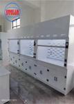 LED Lighting Chemical Fume Hood Lab Fume Hood With Sink - for B2B Requirements