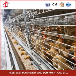 China Hot Dipped Galvanized Chick Brooder Cage Automatic Ventilation Iris factory