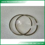 Cummins 6BT5.9 Engine Cummins Piston Ring 3802230 3802231 3802056 3802050