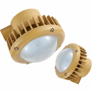 China 30w IP65 Waterproof Mine Explosion Proof LED Light Fixture 2 Years Warranty factory