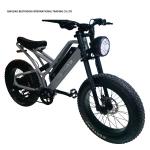 Mechanical Disc Brake Electric Bike 48v 500w Motor Ebike 2 Wheel 20 Inch Fat