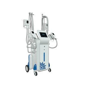 China 2019 trending products 4 handles working simultaneously 10.4 inch fat freeze cryolipolysis machine factory