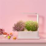 Desktop Grow Box