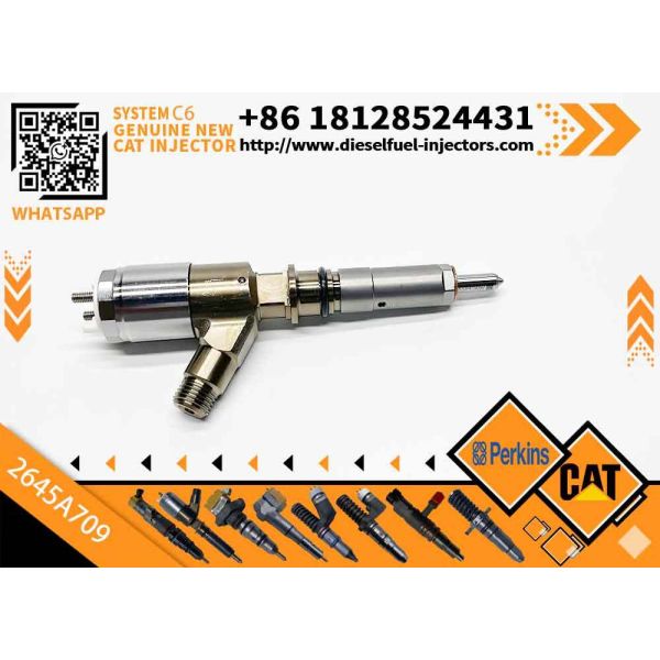 Excavator Parts C6 Engine Injector 320-0680 2645A709 295-9130 382-0480 282-0490 Fuel Injector for Excavator