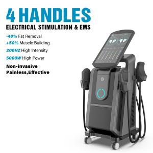 China Ce/Fda Big Screen Professional Ems Muscle Stimulator Handsome Increase Building Pelvic Floor Training Machine factory