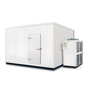 China Commercial Cold Storage Room Stainless Steel Cold Room And Freezer Room factory