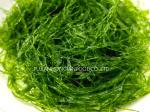 Unsalted Enteromorpha Prolifera Flakes Jade Green 180g Jar Salad Omelette Boost