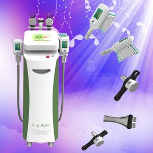 China Promotion!!! 2014 Newest Cryolipolysis slimming equipment for fat removal on whole body factory