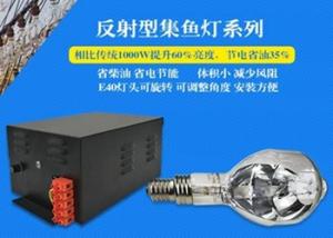 China 700W Self Reflective Metal Halide Fishing Lamp , 3900K Metal Halide Grow Light Bulbs factory