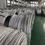 SAE1006 Hot Rolled Steel Wire Rod 200cu 204cu 2022 High Quality